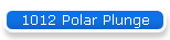 1012 Polar Plunge